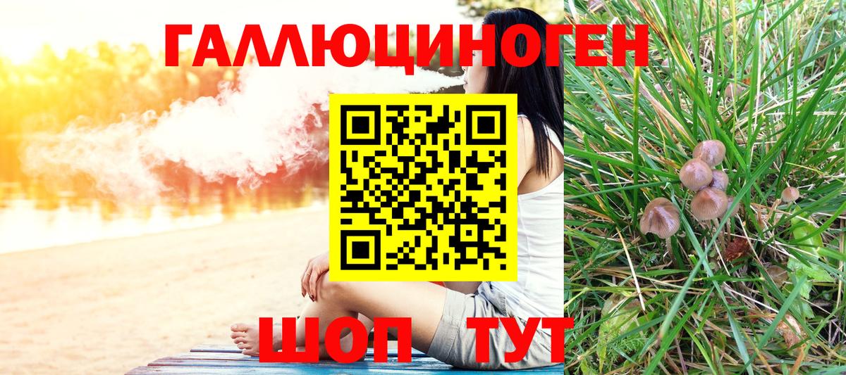 Менделеевск  Галлюциногенные грибы Psilocybe  Псилоцибиновые грибы мицелий  Вход с VPN 