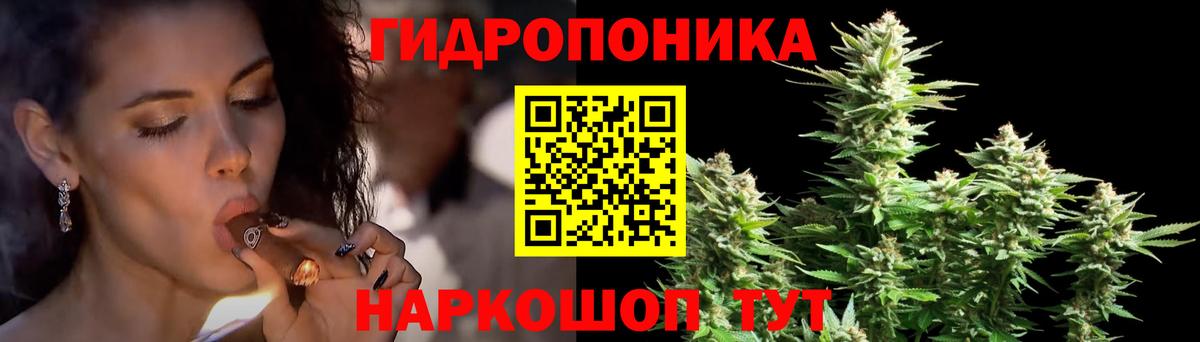 Бошки Шишки SATIVA & INDICA  Бошки Шишки LSD WEED  Марихуана White Widow  Вход с VPN  Бошки марихуана семена  Менделеевск 